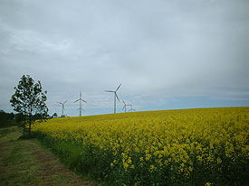 Nutzung der Windenergie in Ostritz